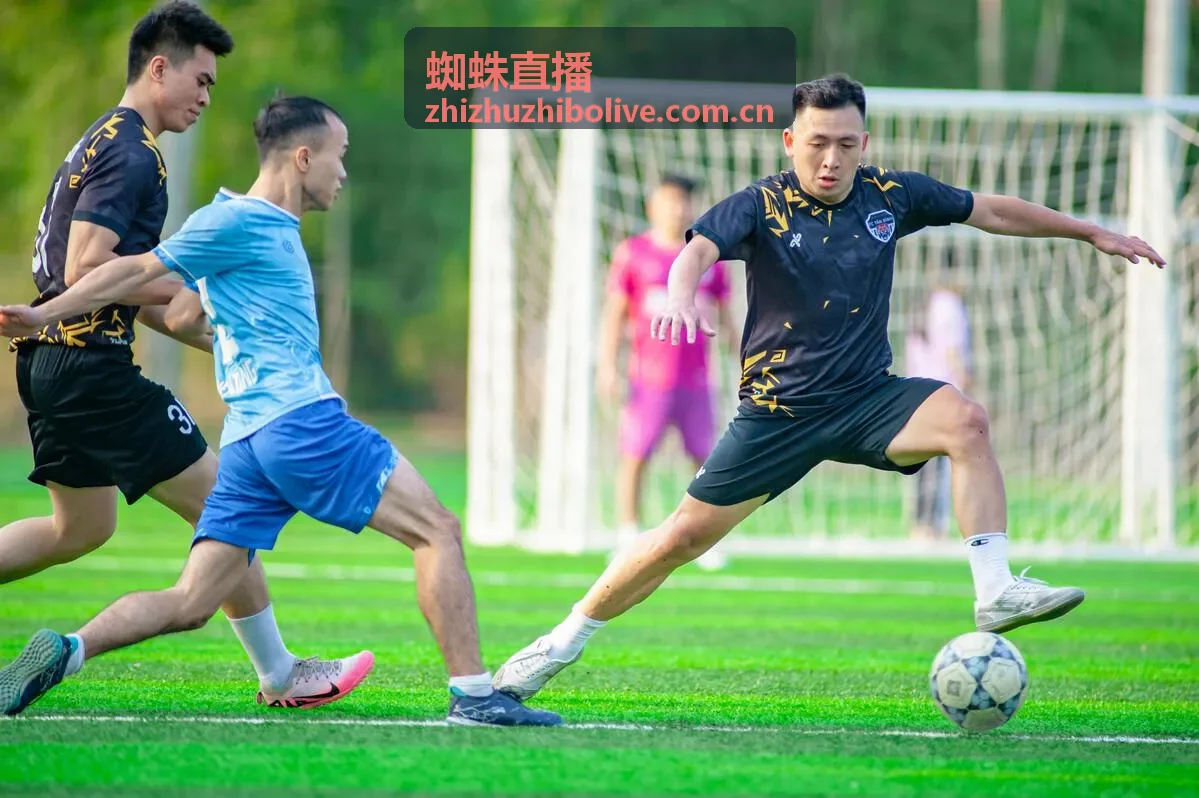 蜘蛛直播专业直播音频系统麦克风与混音设备选型