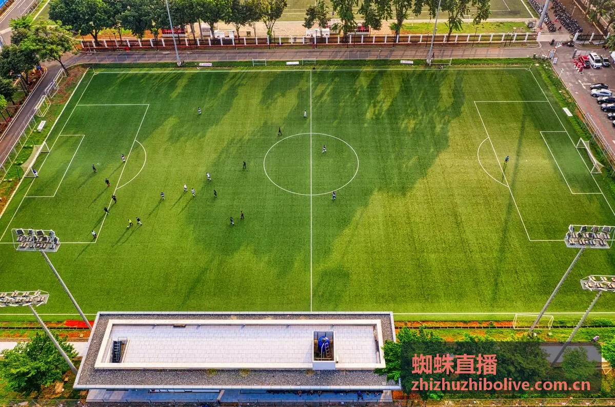 蜘蛛直播电商直播场景产品展示区优化方案
